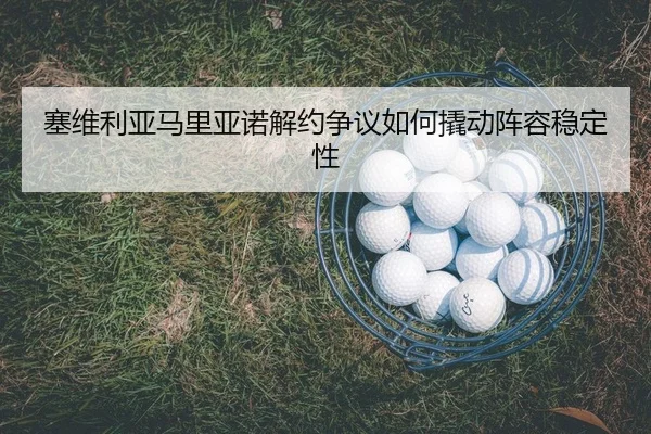 sai-wei-li-ya-ma-li-ya-nuo-jie-yue-zheng-yi-ru-he-qiao-dong-zhen-rong-wen-ding-xing-2-288.jpg